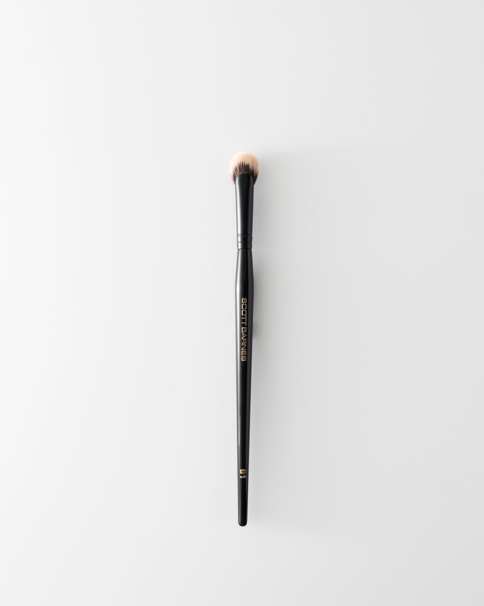 61 - The Eye Fan Brush - Scott Barnes