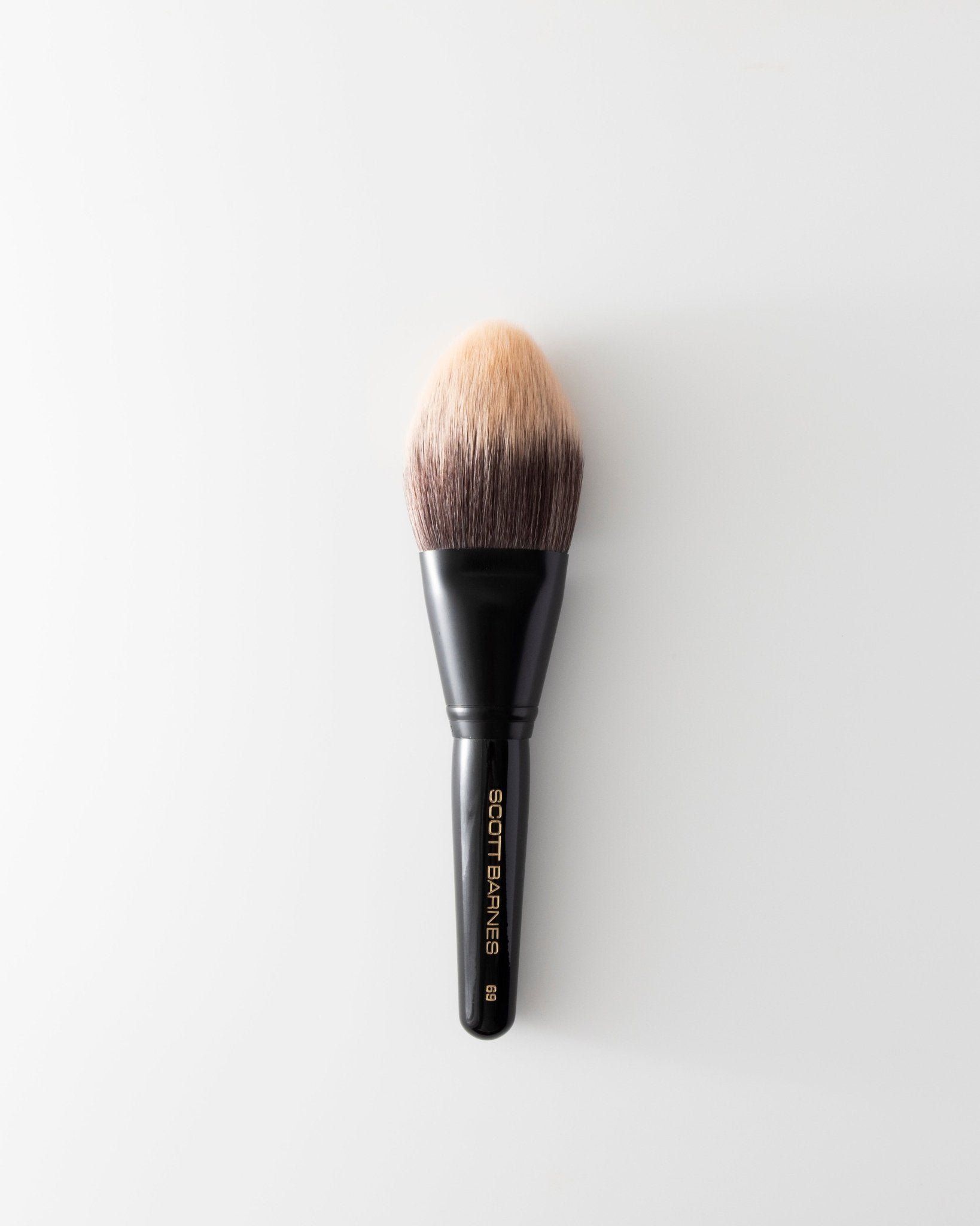 69 - The Body Brush - Scott Barnes