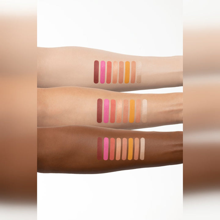Chic Cheek N°1 - Blush Palette - Scott Barnes
