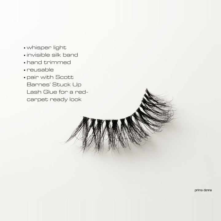 Scott Barnes Eye Candy Mink Lashes - Scott Barnes