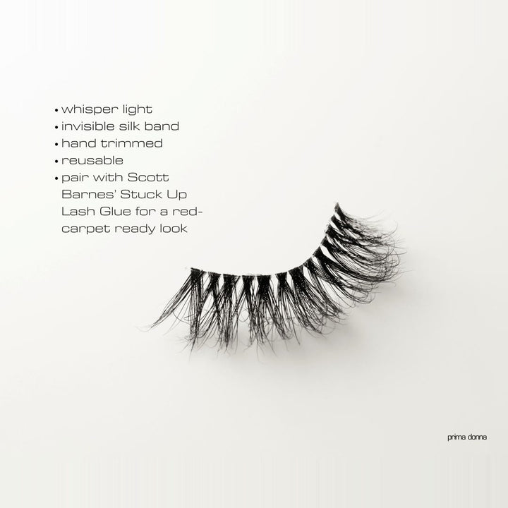 Scott Barnes Prima Donna Mink Lashes - Scott Barnes
